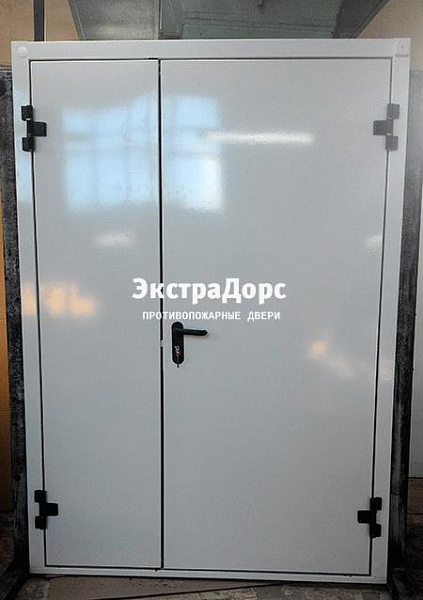 Противопожарная дверь EI 30 3 типа двупольная белая в Дмитрове  купить