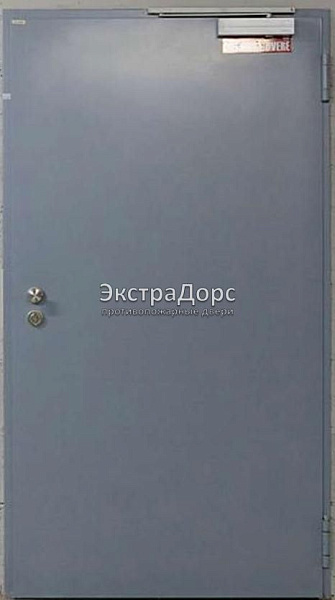 Противопожарная дверь однопольная дымогазонепроницаемая металлик в Дмитрове  купить