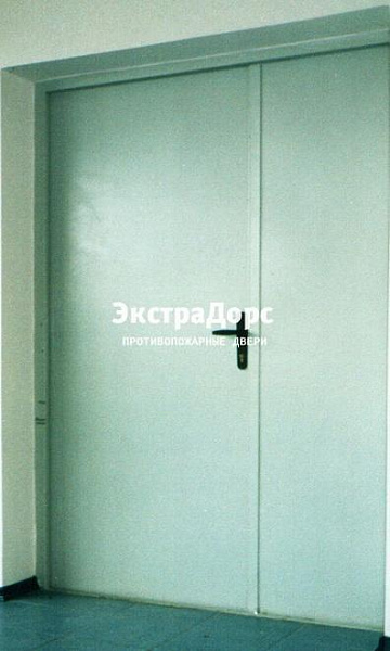 Противопожарная дверь двупольная белая без порога в Дмитрове  купить