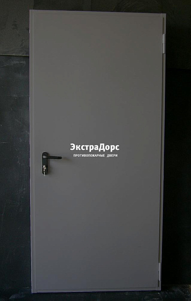 Дверь металлическая противопожарная EI 60 ДПМ 2 типа серая в Дмитрове  купить